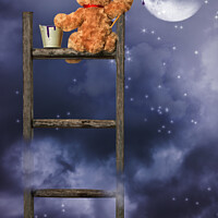 Buy canvas prints of Teddy Painting At Night by Amanda Elwell