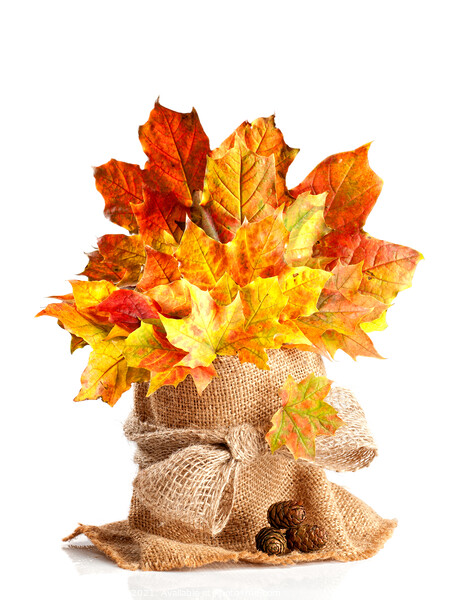Fall Leaves Still Life Picture Board by Amanda Elwell