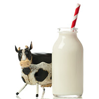 Buy canvas prints of Fresh Milk by Amanda Elwell