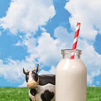 Buy canvas prints of Milk Bottle by Amanda Elwell
