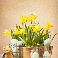Buy canvas prints of Easter Setting by Amanda Elwell