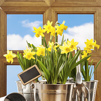 Buy canvas prints of Spring Window by Amanda Elwell