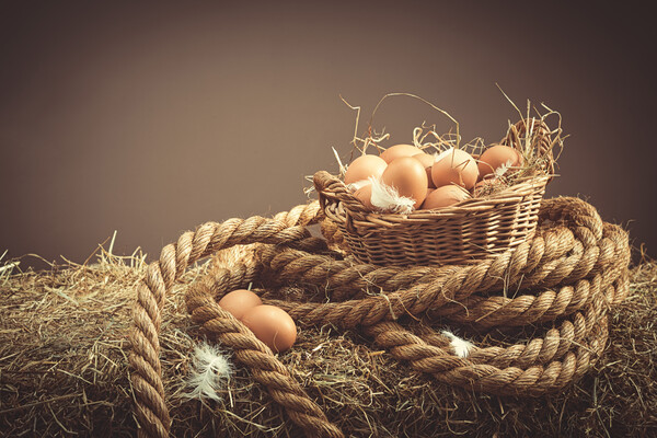 Fresh Eggs Picture Board by Amanda Elwell