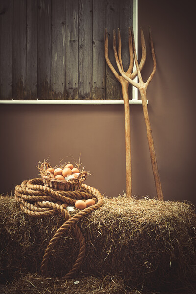 Eggs In The Barn Picture Board by Amanda Elwell