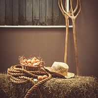 Buy canvas prints of Eggs In Basket In The Barn by Amanda Elwell