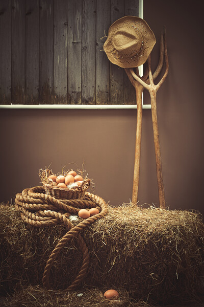 Eggs In The Barn With Pitch Forks Picture Board by Amanda Elwell