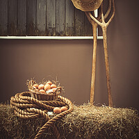 Buy canvas prints of Eggs In The Barn With Pitch Forks by Amanda Elwell