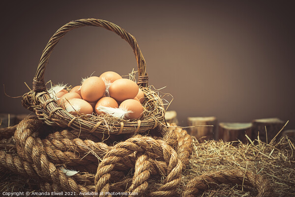 Fresh Eggs Picture Board by Amanda Elwell