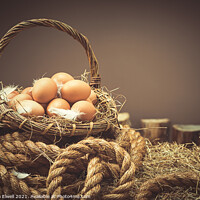 Buy canvas prints of Fresh Eggs by Amanda Elwell