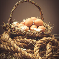 Buy canvas prints of Freshly Laid Eggs by Amanda Elwell