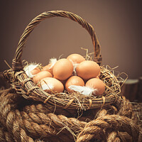 Buy canvas prints of Eggs by Amanda Elwell
