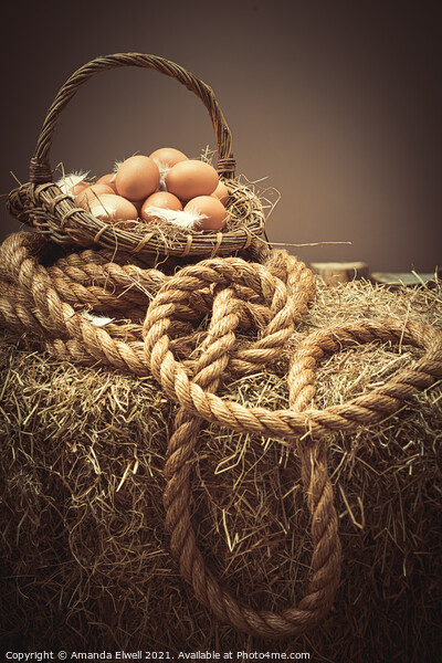 Eggs In Basket Picture Board by Amanda Elwell