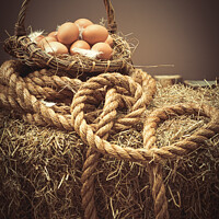 Buy canvas prints of Eggs In Basket by Amanda Elwell