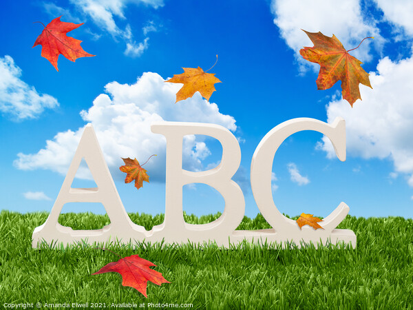ABC Letters With Autumn Leaves Picture Board by Amanda Elwell