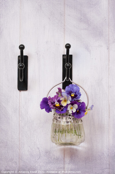 Pansies On Hook  Picture Board by Amanda Elwell