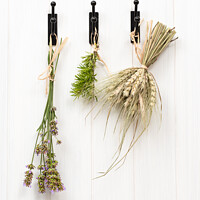Buy canvas prints of Drying Herbs & Lavender by Amanda Elwell