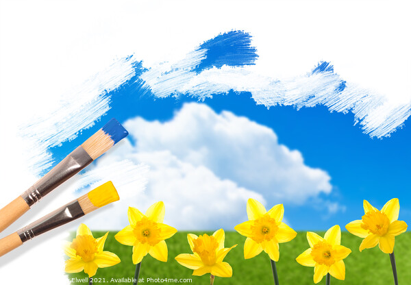 Painting Daffodils Picture Board by Amanda Elwell