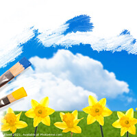 Buy canvas prints of Painting Daffodils by Amanda Elwell