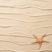 Buy canvas prints of Sand Background by Amanda Elwell
