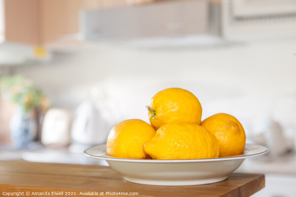 Freshly Picked Lemons Picture Board by Amanda Elwell