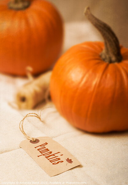 Pumpkin Label Picture Board by Amanda Elwell
