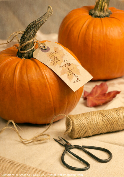 Pumpkins For Thanksgiving Picture Board by Amanda Elwell