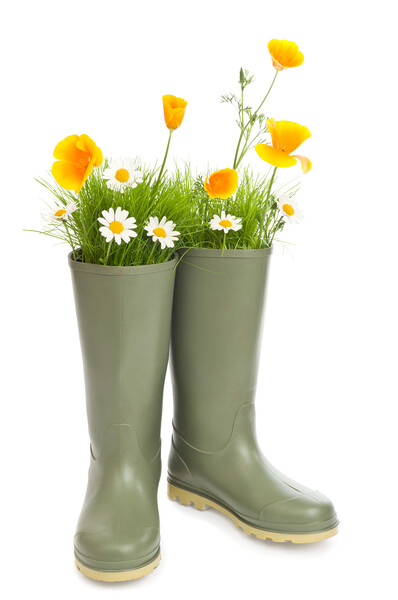 Wellington Boots Picture Board by Amanda Elwell