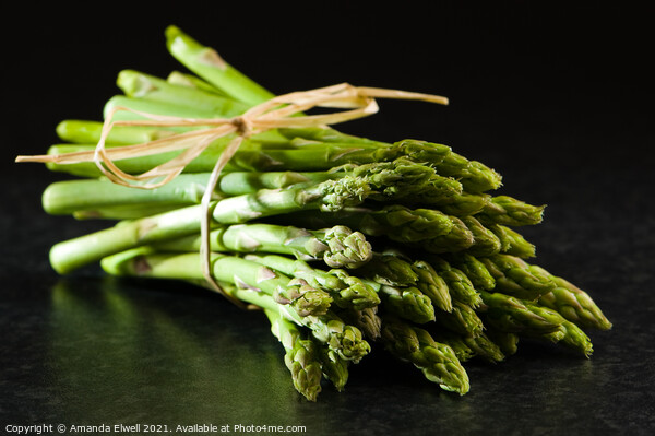 Fresh Asparagus Tips Picture Board by Amanda Elwell