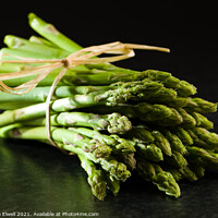 Buy canvas prints of Fresh Asparagus Tips by Amanda Elwell