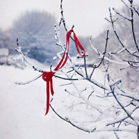 Buy canvas prints of Ribbon In Tree by Amanda Elwell