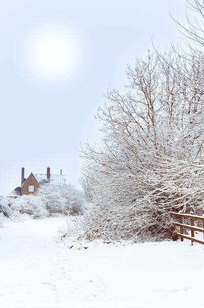 House In snow Picture Board by Amanda Elwell