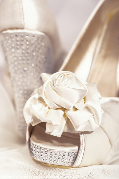 Wedding Shoes Picture Board by Amanda Elwell