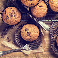 Buy canvas prints of Choc Chip Muffins by Amanda Elwell