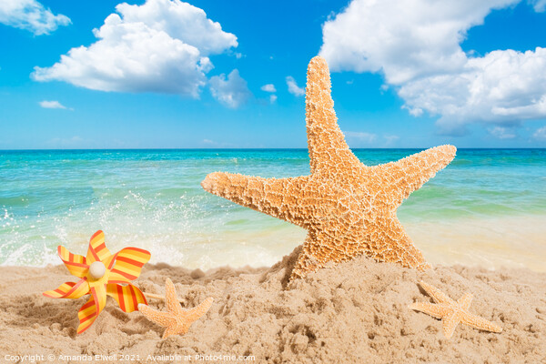 Starfish Picture Board by Amanda Elwell