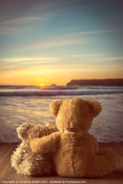 Teddies At Sunset Picture Board by Amanda Elwell