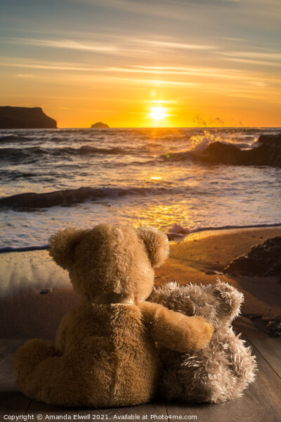 Teddies Watching The Sunset Picture Board by Amanda Elwell