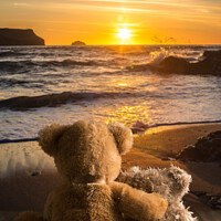 Buy canvas prints of Teddies Watching The Sunset by Amanda Elwell