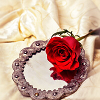 Buy canvas prints of Red Rose On Mirror by Amanda Elwell