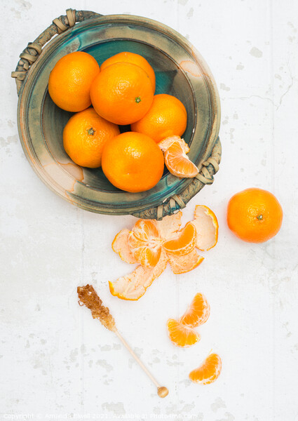 Clementines Picture Board by Amanda Elwell