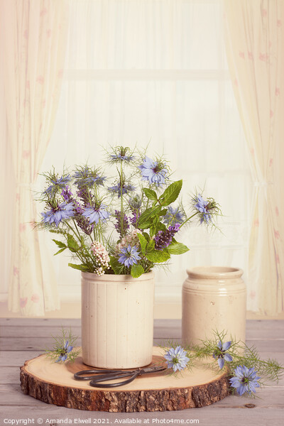 Cornflowers In Ceramic Pots Picture Board by Amanda Elwell