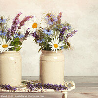 Buy canvas prints of Lavender & Daisies by Amanda Elwell