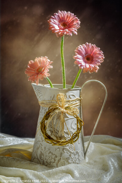 Vase Of Gerbera's Picture Board by Amanda Elwell