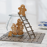Buy canvas prints of Gingerbread Ladder by Amanda Elwell