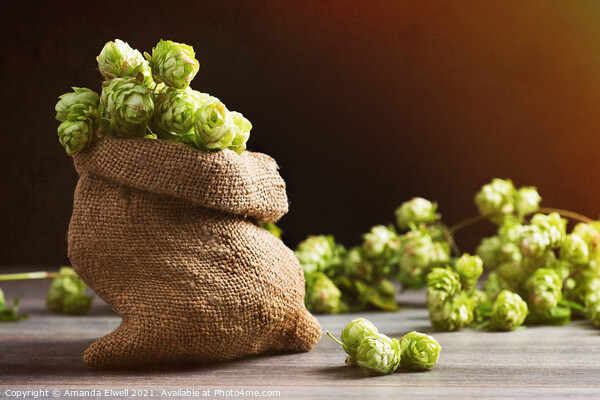 Small Sack Of Hops Picture Board by Amanda Elwell