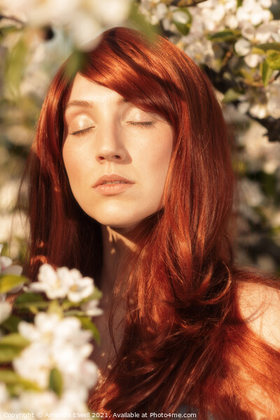 Woman In Spring Blossom Picture Board by Amanda Elwell