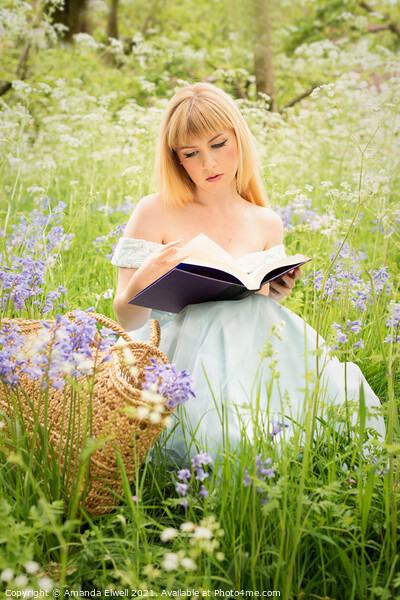 Woman Reading In Spring Meadow Picture Board by Amanda Elwell