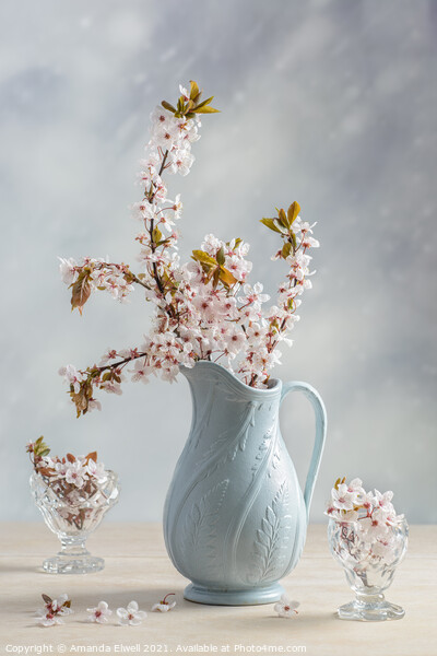 Antique Jug With Blossom Picture Board by Amanda Elwell