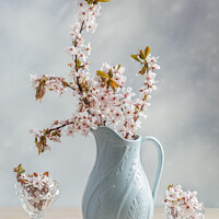 Buy canvas prints of Antique Jug With Blossom by Amanda Elwell