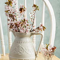 Buy canvas prints of Prunus Spring Blossom by Amanda Elwell