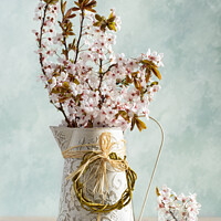 Buy canvas prints of Springtime Blossom by Amanda Elwell